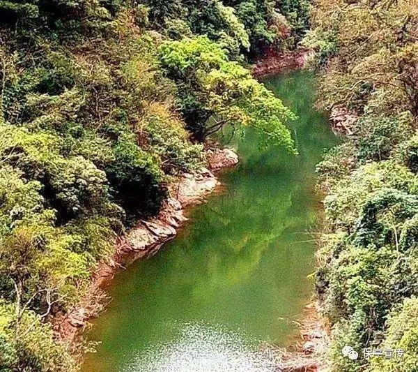 泰拉瑞亚